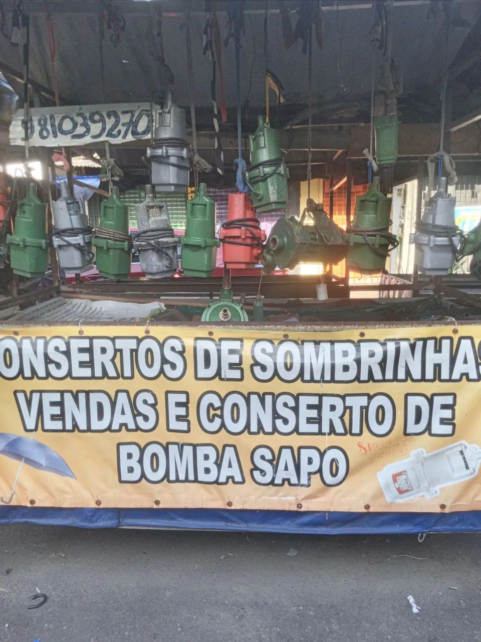 Bomba sapo - Foto 2