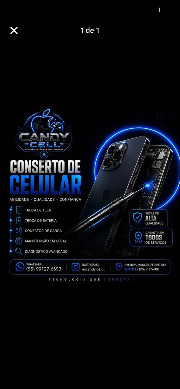 Assistência técnica 