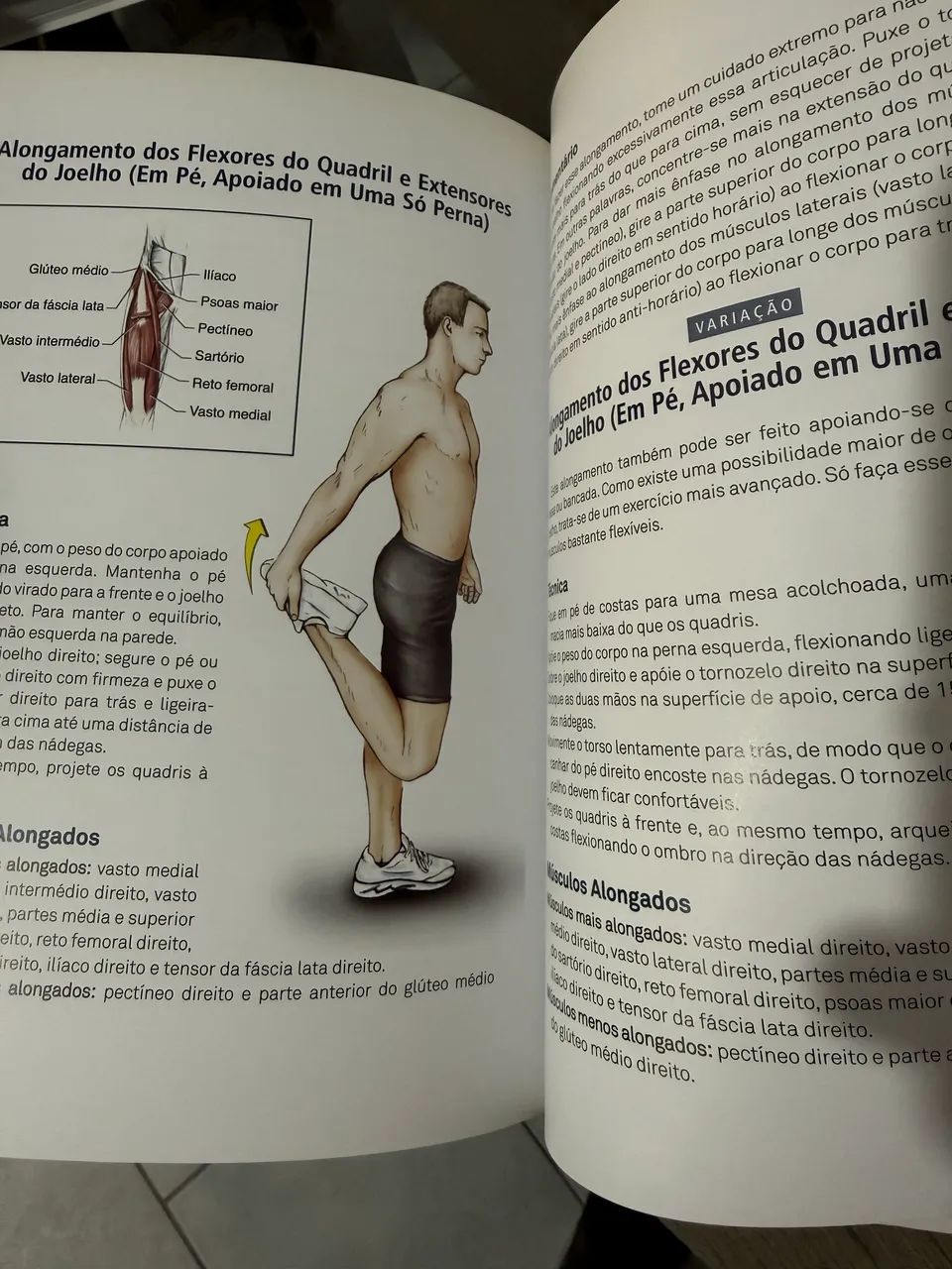 Anatomia do alongamento  - Foto 3