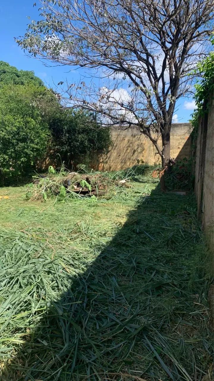 Limpeza de lote  - Foto 2
