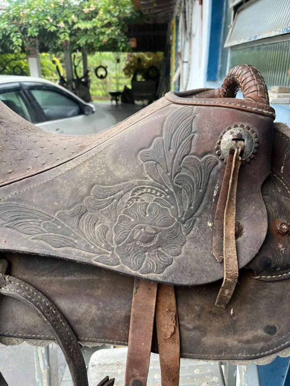 Cela de Cavalo - Foto 3