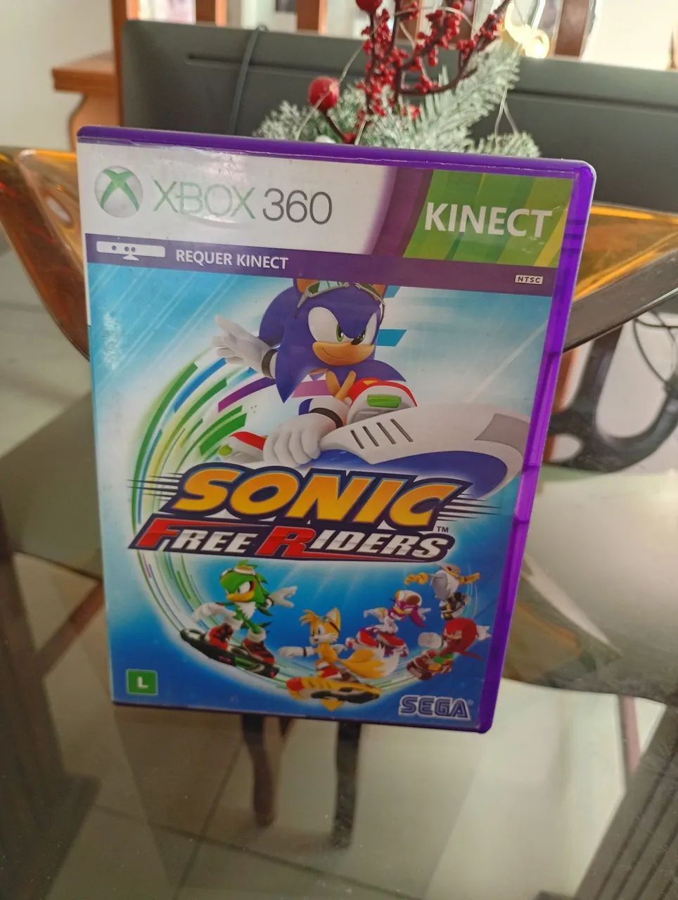 Sonic free riders