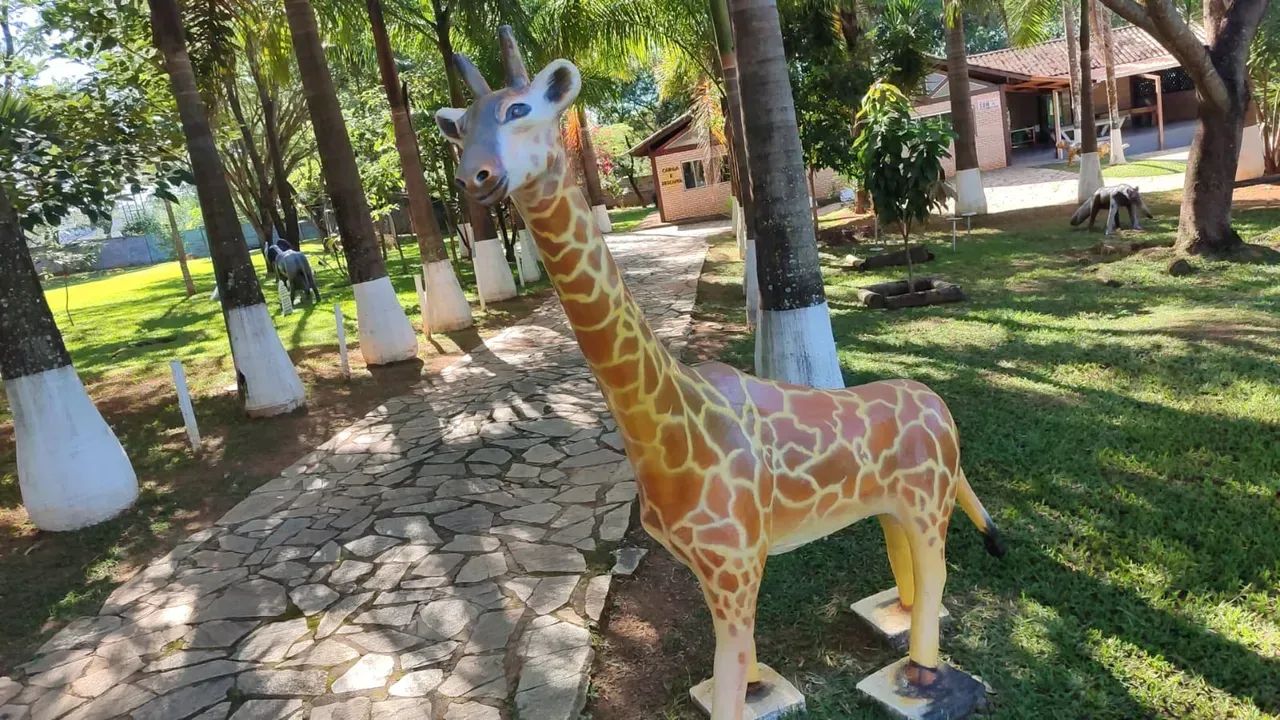 Samambaia - Brasília - DF - Foto 2