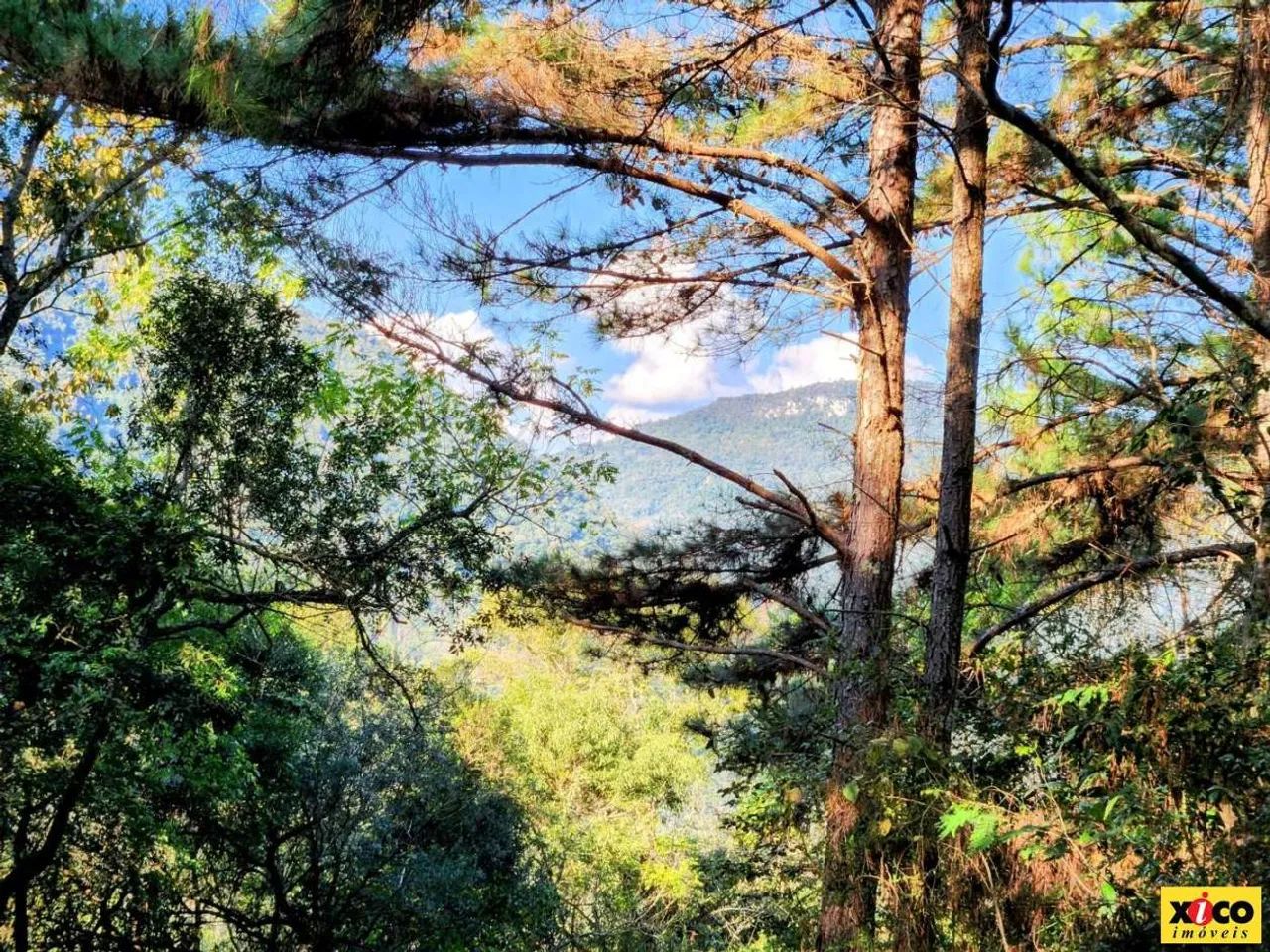 Sítio / Chácara para Venda em Nova Petrópolis, Linha Riachuelo - Foto 6