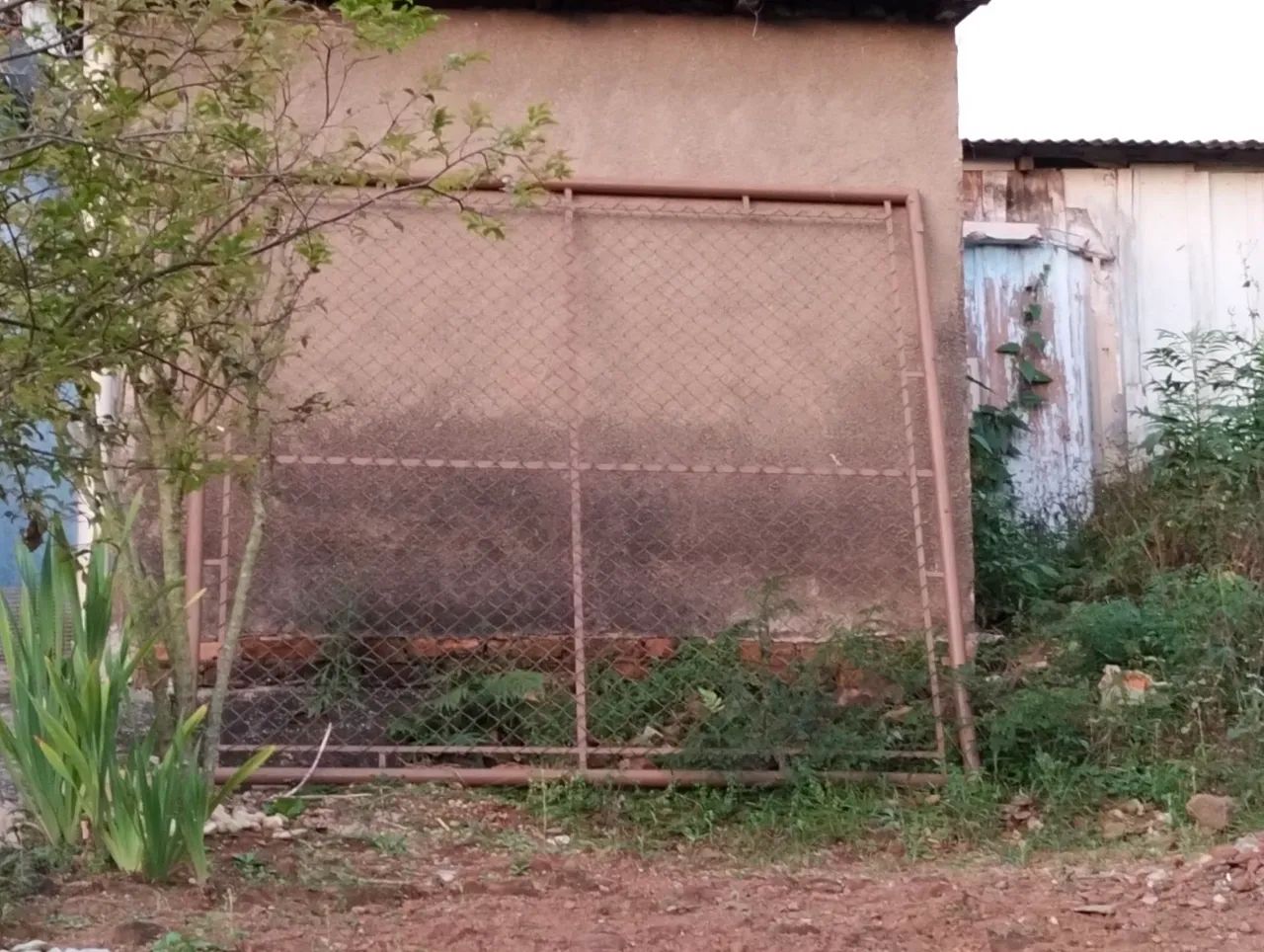 Portão  - Foto 2