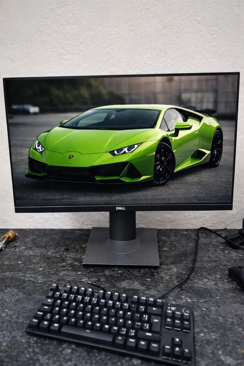 Monitor DELL P2219H 22 polegadas 
