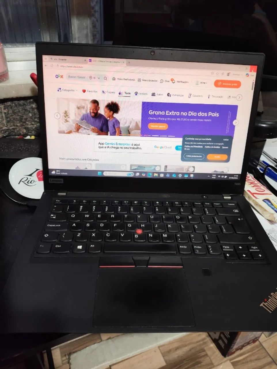 Lenovo ThinkPad T495