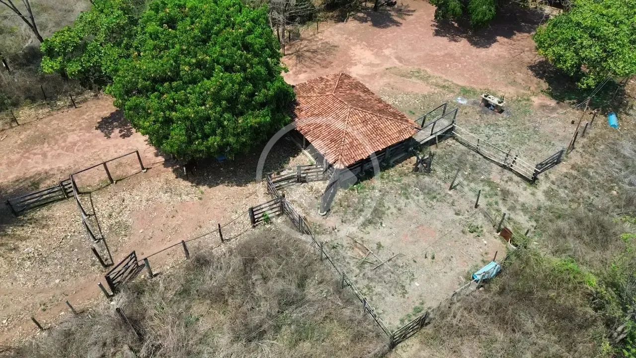 FAZENDA À VENDA  HIDROLÂNDIA/GO codigo: 384932