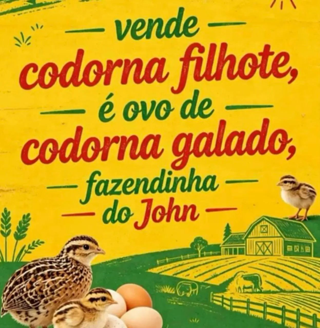 Codorna - Foto 2