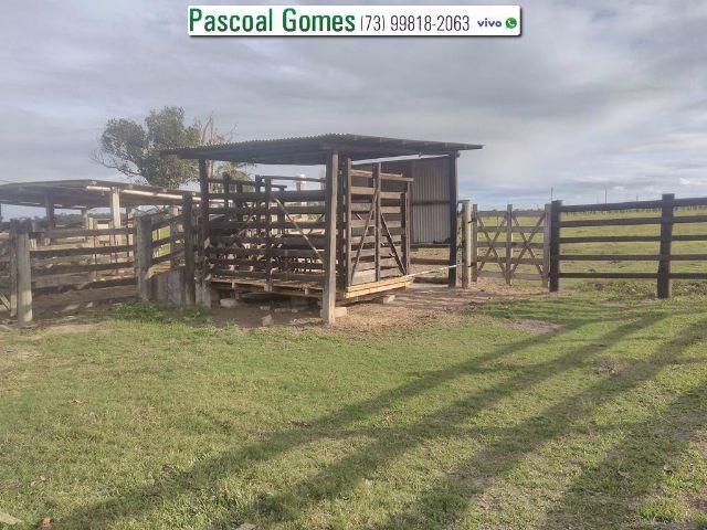 95 % Plana, Prado, Bahia - Foto 19