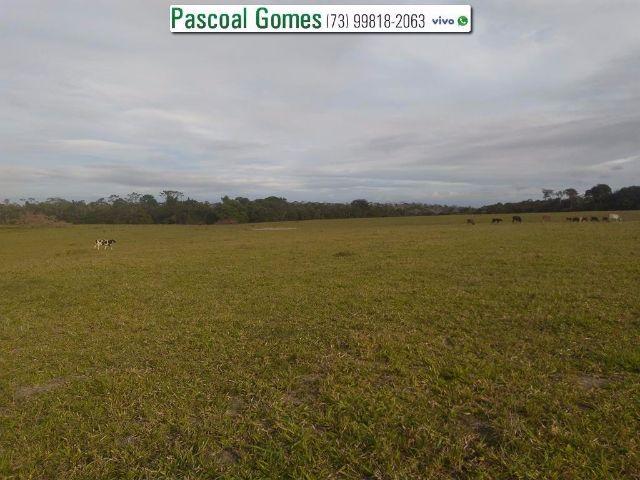 95 % Plana, Prado, Bahia - Foto 16
