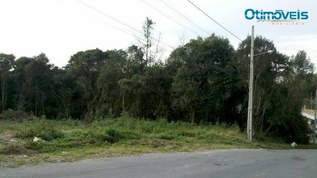 Área comercial à venda, itália, são josé dos pinhais - ar0003. - Foto 6