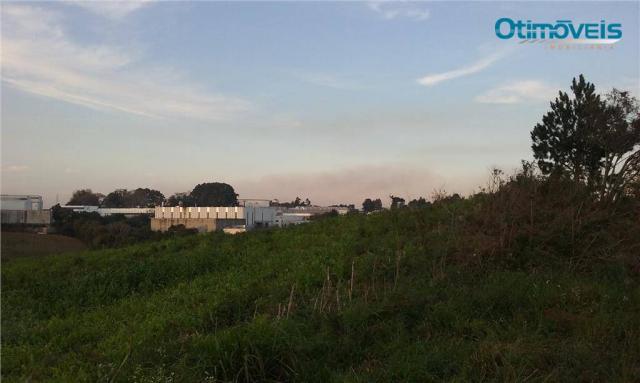 Área à venda, colônia zacarias, são josé dos pinhais - ar0002. - Foto 12