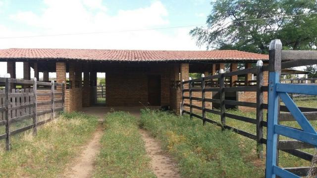 Fazenda Fernando Pedrosa, 489 Hectares, Escriturada, 7km Rio Pajeú, Açude, Casa Sede - Foto 17