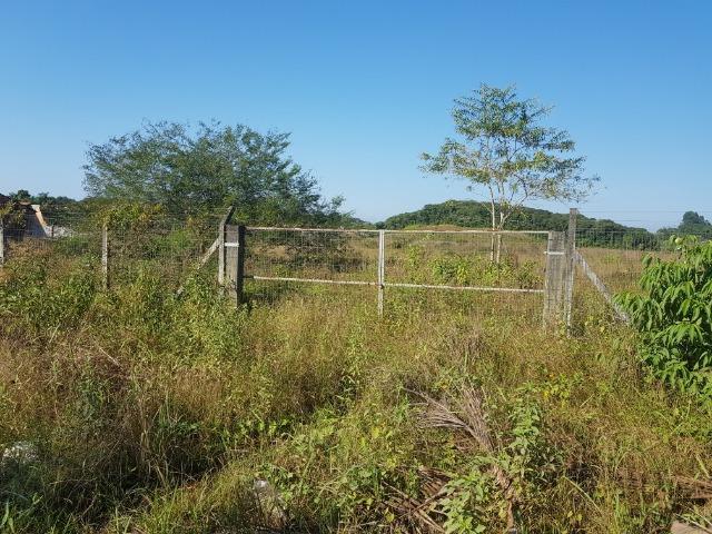 Área industrial de frente para a BR101 em Pirabeiraba - Foto 13