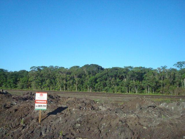 Área industrial de frente para a BR280 com 15000m² - Foto 4