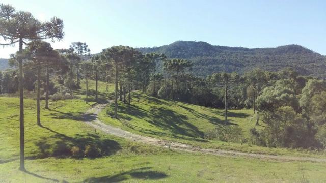 Sítio em Urubici/chácara em Urubici - Foto 4