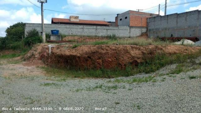 Galpão/Depósito - Foto 12