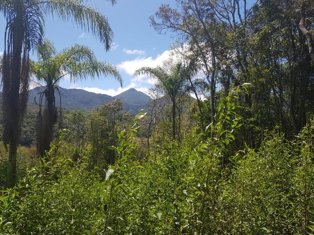 Chácara de lazer no Capivari - Foto 11