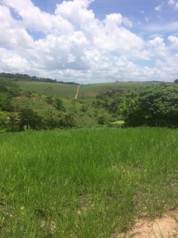 Fazenda-Granja-Sítio-Chácara 12 Hectares Aliança, Aceito Imóvel ou Automóvel - Foto 14