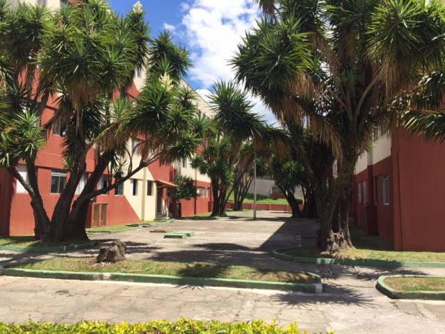 Apartamento com 2 dormitórios à venda, 50 m² por r$ 175.000 - parque industrial - são josé - Foto 4