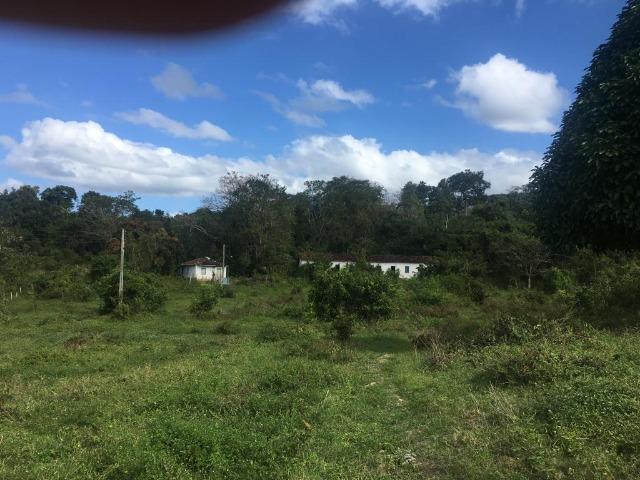 Fazenda - Barro Preto - Foto 5