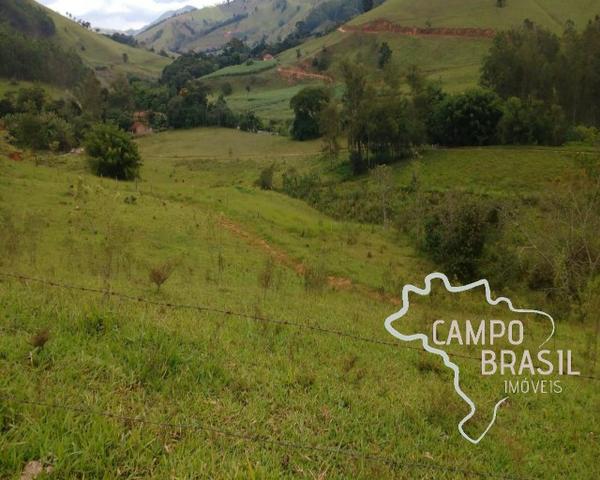 Oportunidade rural! Sítio de 8,5 alqueires todo aproveitável!