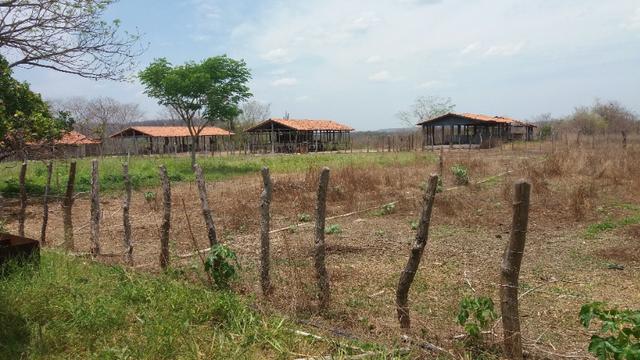Chácara 50ha Piscina PI-113 10km de José de Freitas - Foto 14