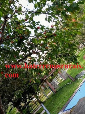 Casa Em Itatiaia RJ - Sítio 74 hectares - Foto 4