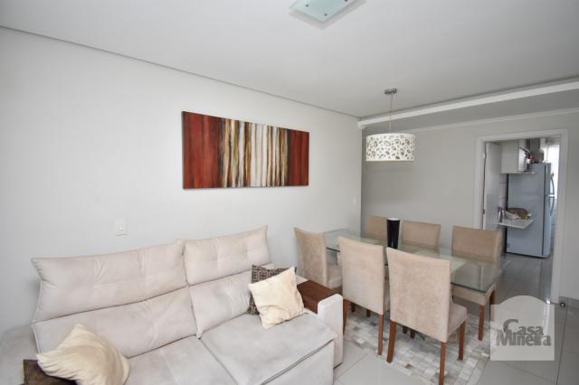 Apartamento à venda com 3 dormitórios em Havaí, Belo horizonte cod:239892 - Foto 3
