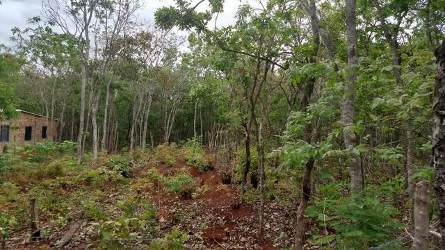 Lote 991m2 - Represa de Três Marias - Felixlândia - Foto 13