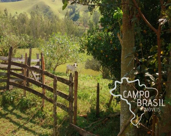 Oportunidade rural! Sítio de 8,5 alqueires todo aproveitável! - Foto 12