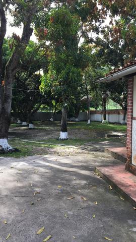 Arrendo Fazenda na ilha de Itaparica - Foto 6