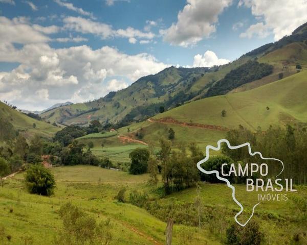 Oportunidade rural! Sítio de 8,5 alqueires todo aproveitável! - Foto 10
