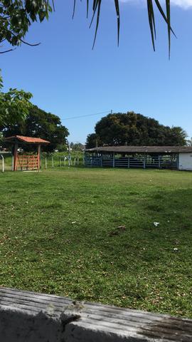 Arrendo Fazenda na ilha de Itaparica - Foto 3