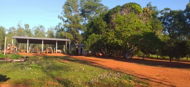 Fazenda de 1.200 há em Juscimeira - MT - Foto 3