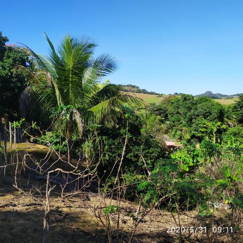 Chácara sítio - Foto 18