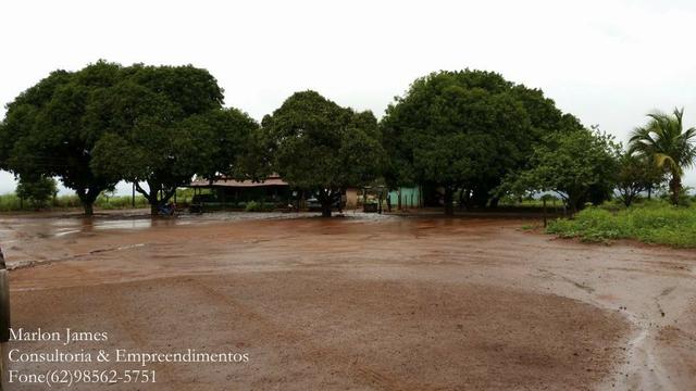 Fazenda em Porangatu!! - Foto 16