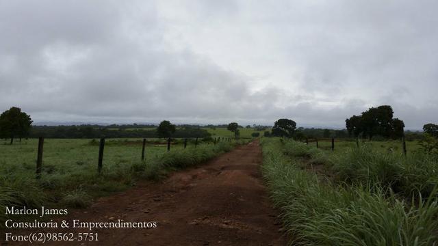 Fazenda em Porangatu!! - Foto 15