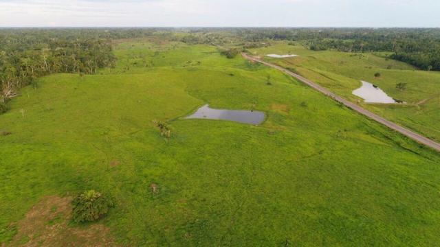 Fazenda na Br 364 480 hec - Foto 2