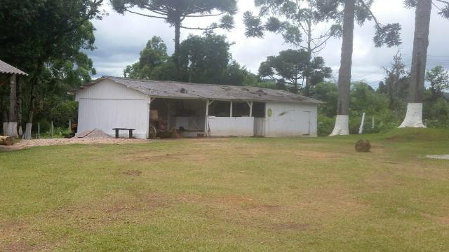Oportunidade Sítio em Mandirituba - Foto 7