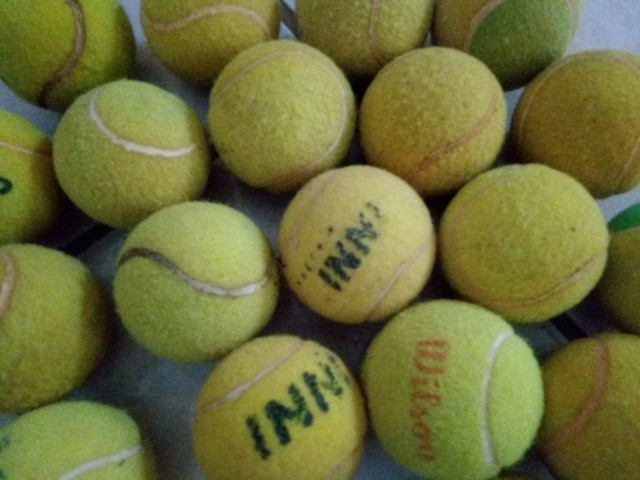 tenis esportes