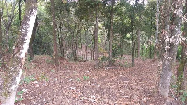 Estrada Saraiva em Betim - Chácara Ótima Localização.- R$390.000,00 - Foto 6