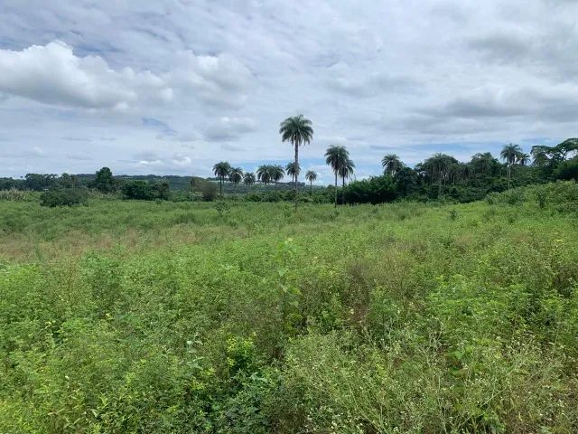 Fazenda 3ha, com 3km de beira de rio, nascente no terreno, terra de cultivo, Lagoa Santa. - Foto 2