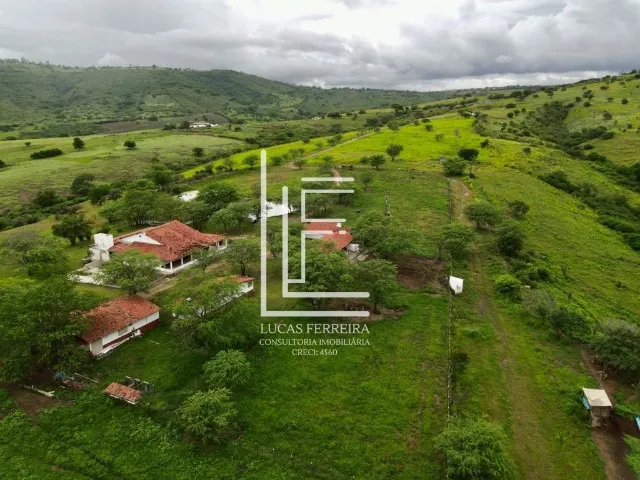 Excelente Fazenda de 71 hectares em Gravatá!