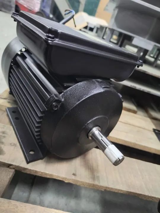 Motor Elétrico Lynus 2 CV 2 Polos Alta Rotação Monofásico Blindado Seminovo
