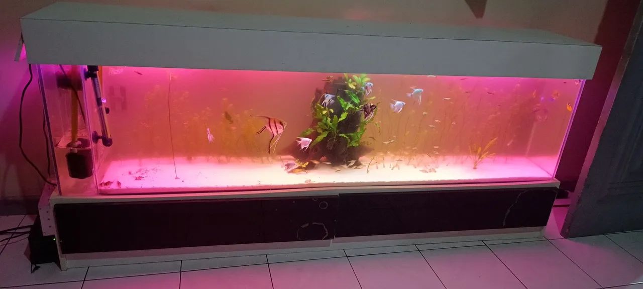 Aquário completo 180cm