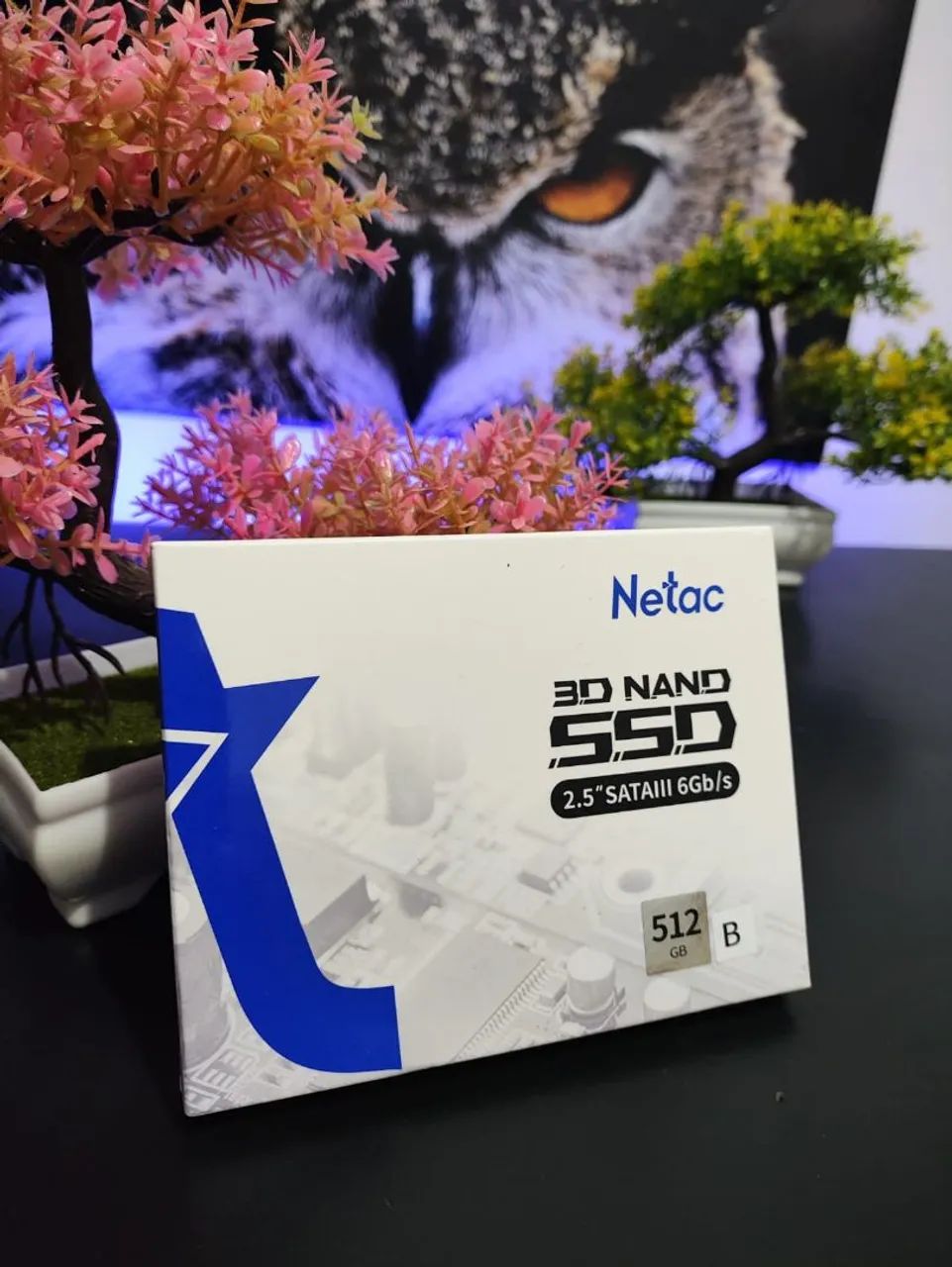NETAC SSD SATA III 512GB - New