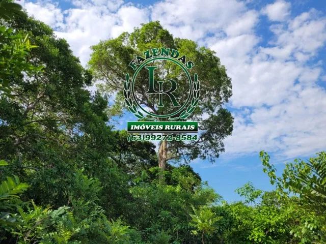 Fazenda Dupla Aptidão Tocantins - Foto 4