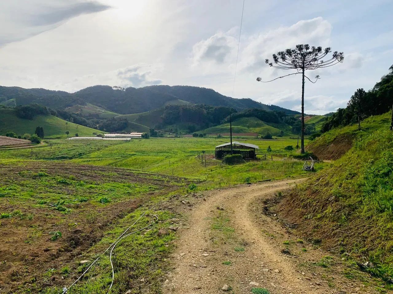 Sítio para Venda em Angelina, TERCEIRA LINHA, 1 dormitório, 1 vaga